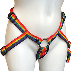 The Inclusion Rainbow Strap-On Harness shown on a mannequin